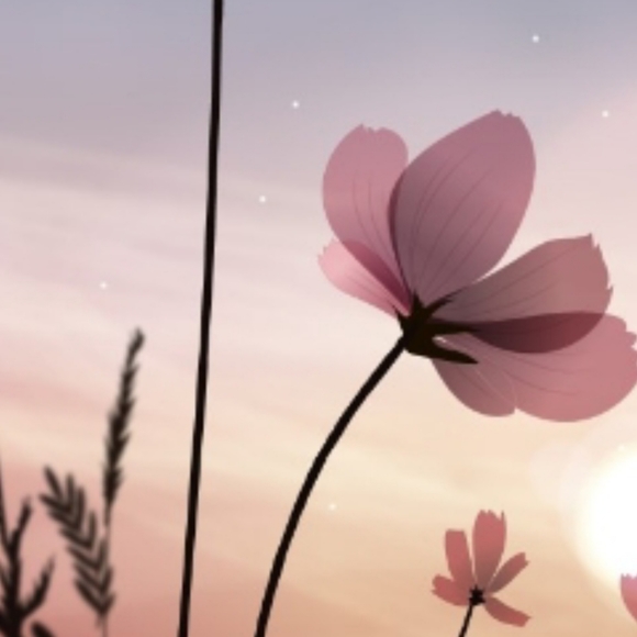 Meet your Posher, Priscilla - Picture 3 of 8